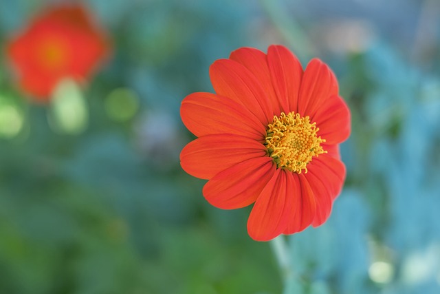 近4届欧预赛+世预赛射手榜：凯恩40球第1，C罗32球第2